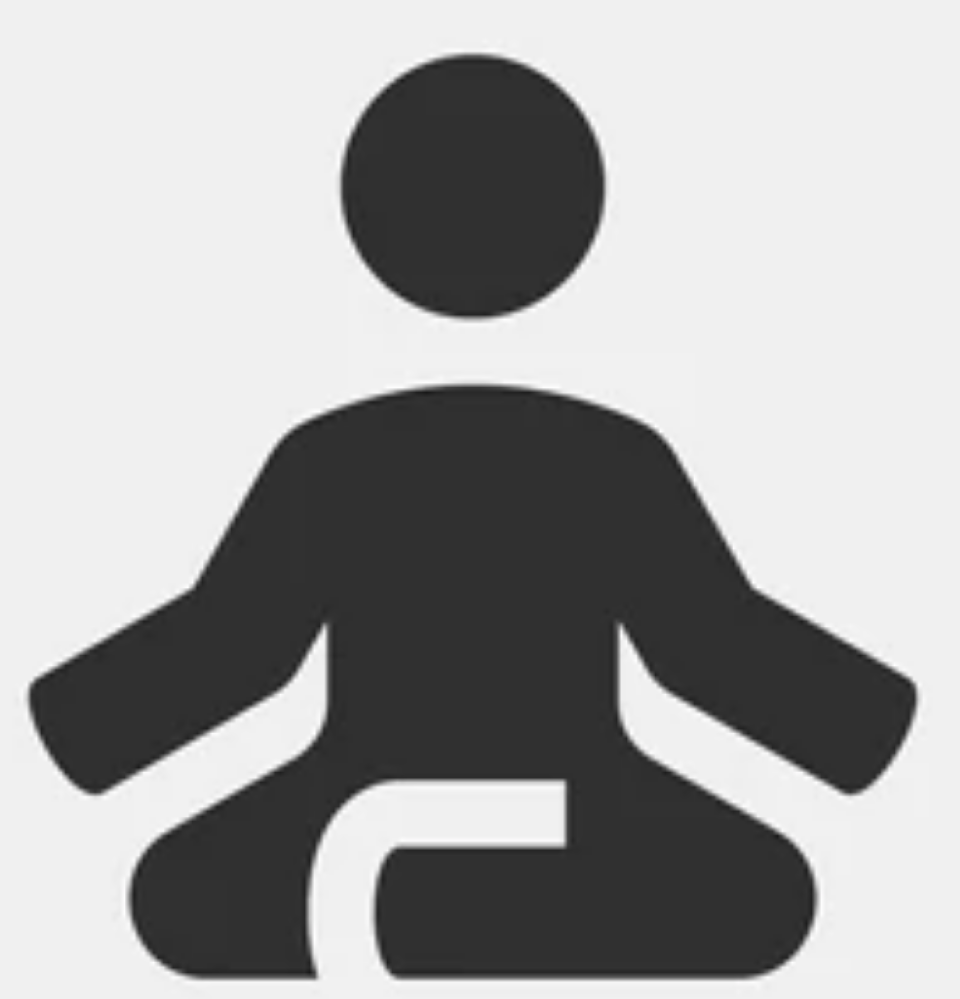 Assistant for Vipassana at UCENLIST (Vietnam)